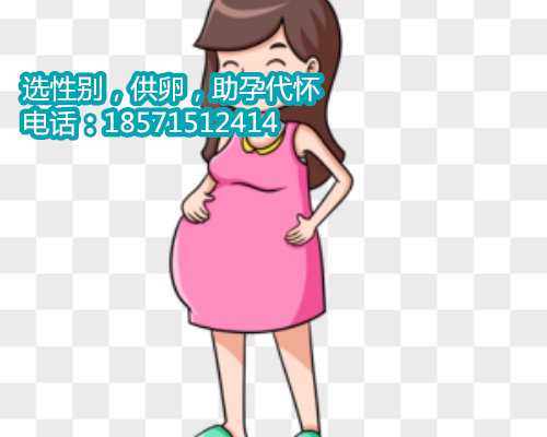 上海高龄试管婴儿供卵,49算男女正确算法