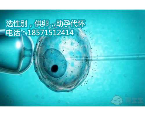 湖北高龄借卵,1在北京协和医院做供卵试管的费用明细：
