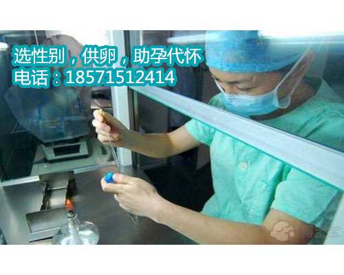 上海高龄试管中心,乙肝检查阳性怎么办