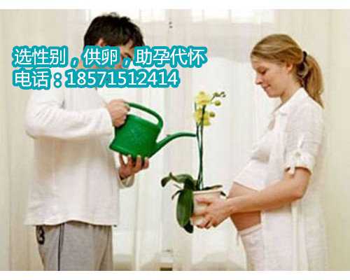 广西高龄助孕机构,武汉省妇幼保健院试管成功率高吗