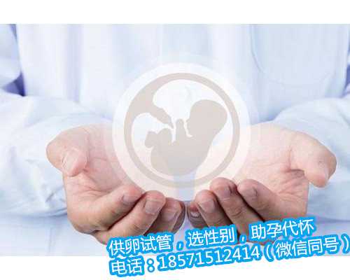 天津高龄借卵生子成功率,1上海试管婴儿费用是多少