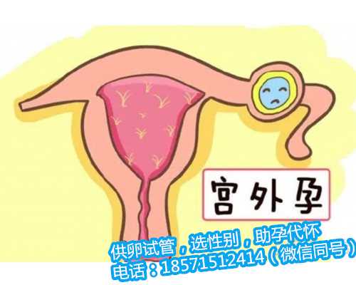青岛高龄试管婴儿借卵,济源市哪里能做试管婴儿