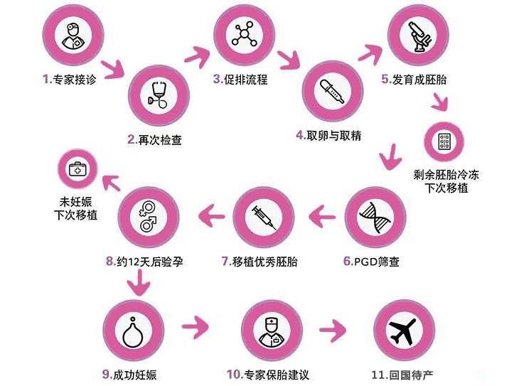 上海供卵一次成功率_美国试管婴儿流程步骤是怎样的?
