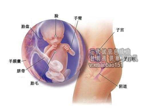武汉高龄供卵试管婴儿,泰国BNH医院试管婴儿成功率高吗
