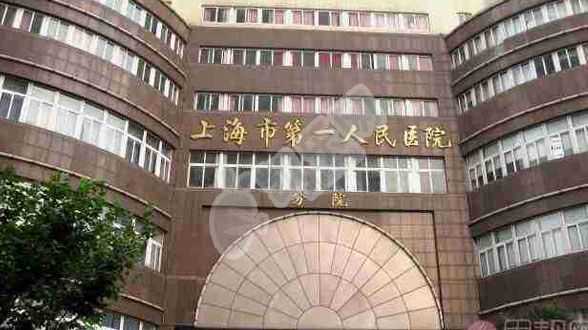 失独家庭高龄生子,1上海仁济医院试管成功率多少